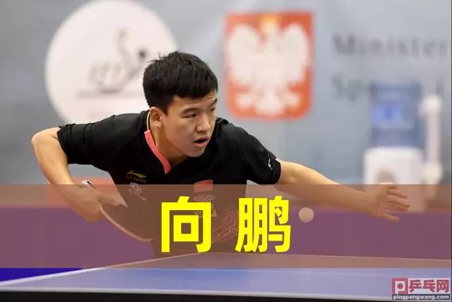 区域文化 区域文化